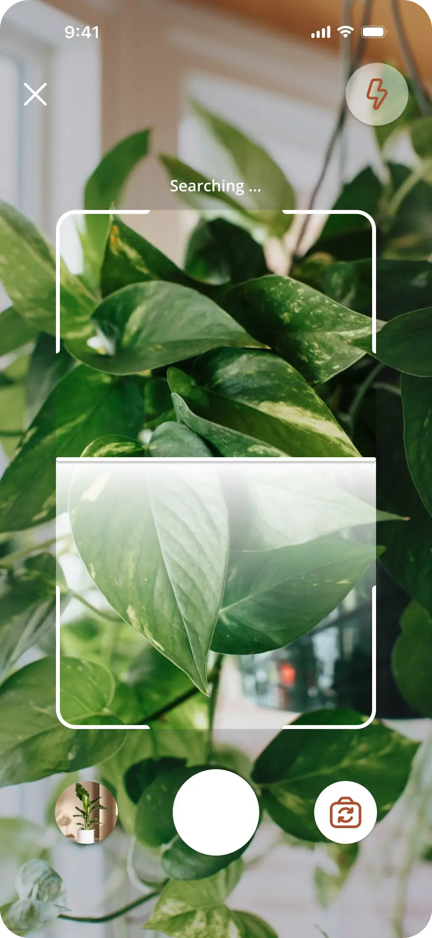 Plantify camera scanning screen