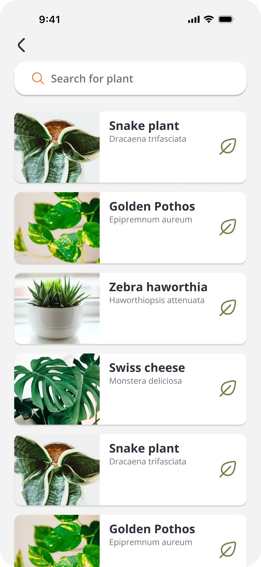 Plantify search result screen